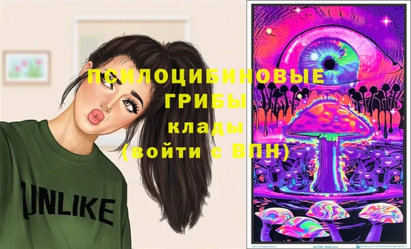 таблы Белокуриха