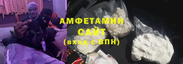 индика Ельня